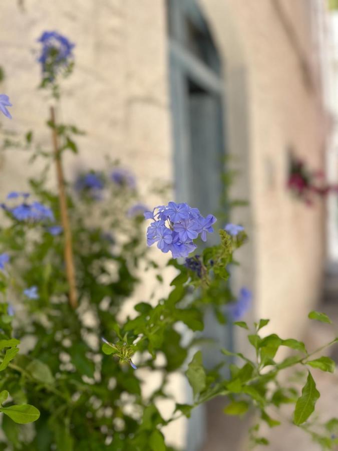 Bianco Calce - Ostuni Villa Exterior photo
